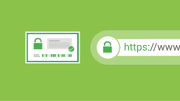 Free SSL Setup Service