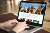 Gator Website Builder – How to use it & (50% off Inside)